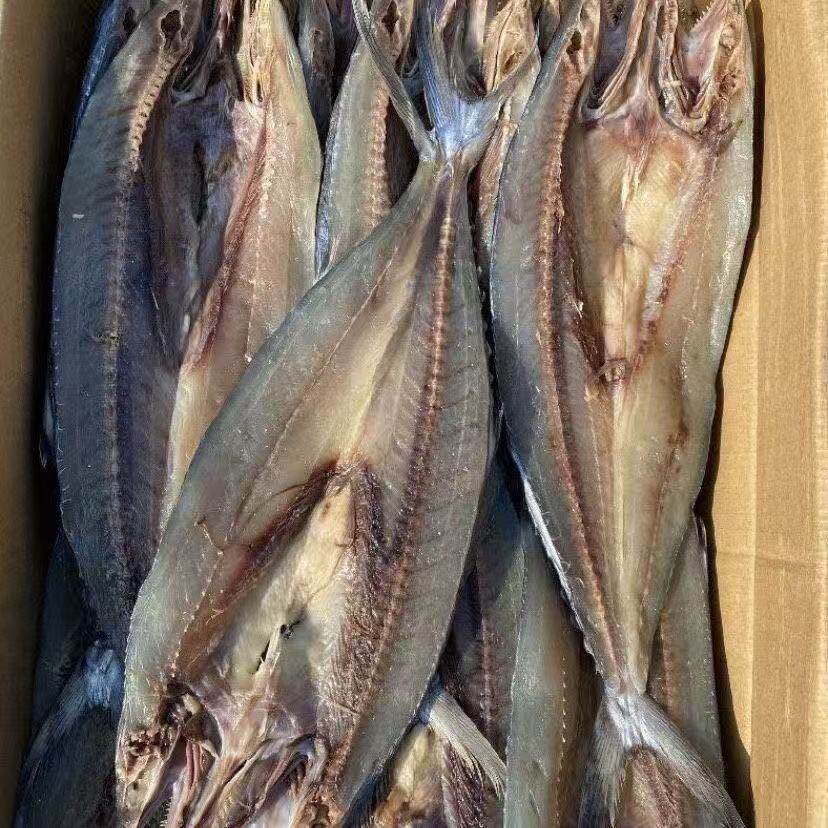 新晒鲅鱼干燕尾鲅鱼刀鲅鱼尖嘴圆嘴马鲛鱼海鱼风干特产海鲜批发