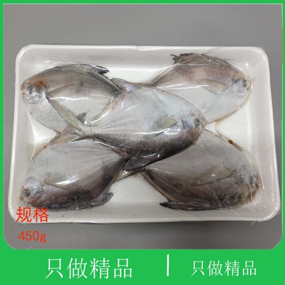 大连海鲜鲜活深海金仓鱼平鱼银昌鱼平鱼镜鱼白鲳扁鱼油炸小银鲳鱼