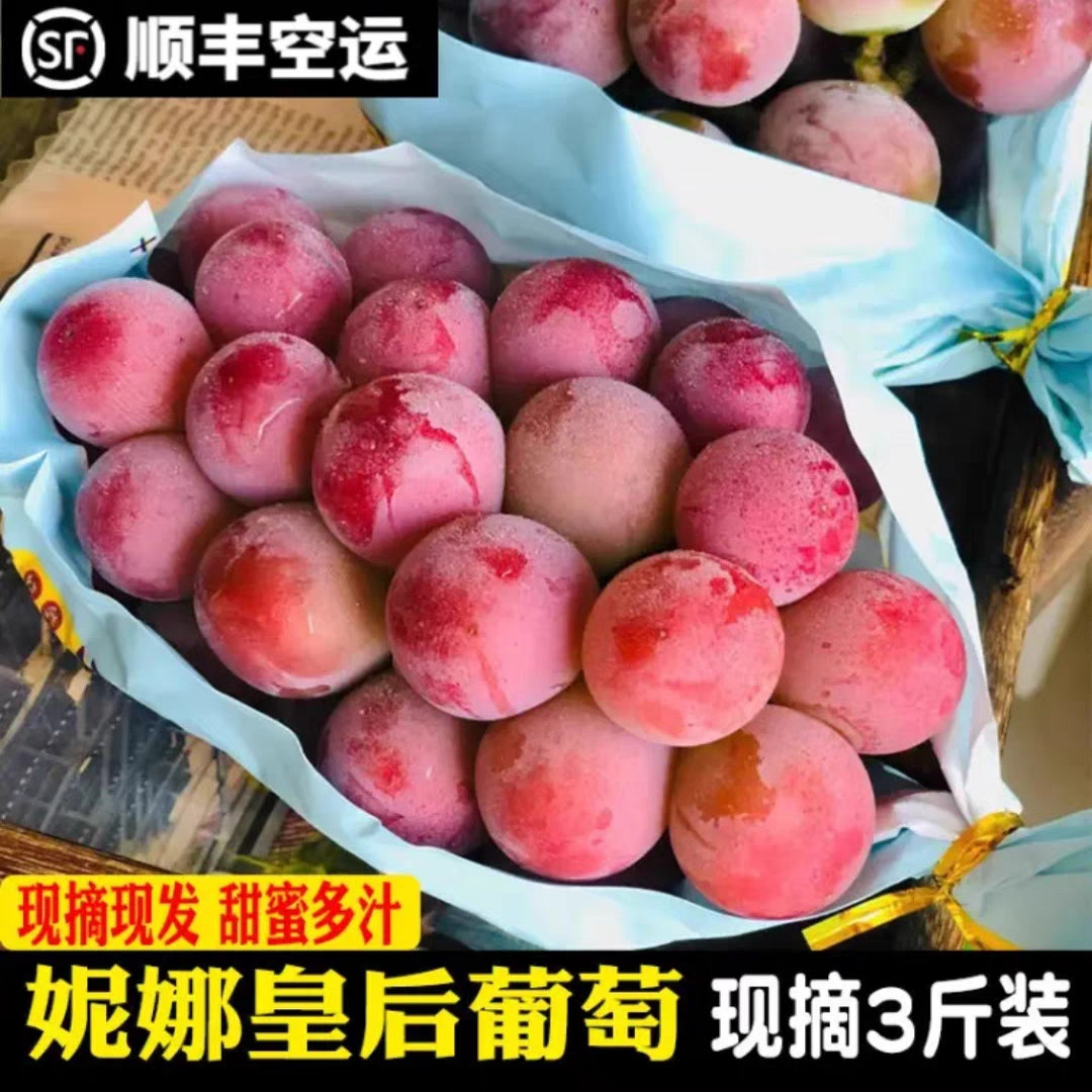 云南妮娜皇后妮娜公主无籽葡萄现葡萄/提子