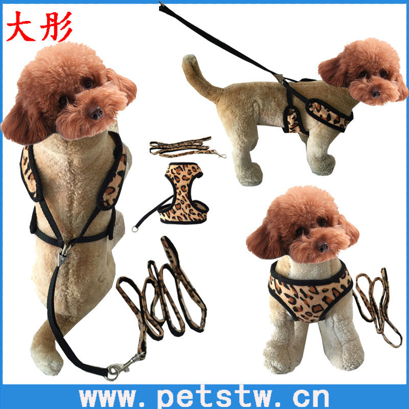 豹纹胸背带宠物牵引绳遛猫狗链子宠物用品批发一件代发