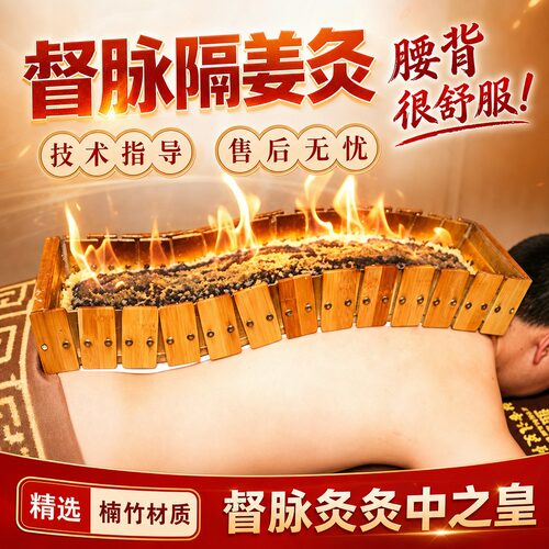 中医院专用龙骨督脉灸专用工具