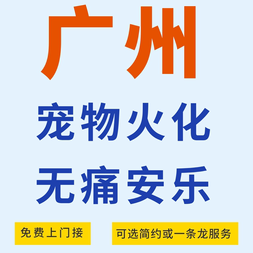 广州宠物火化殡葬无痛安乐丧葬一条龙狗犬猫兔子仓鼠善终骨灰安置