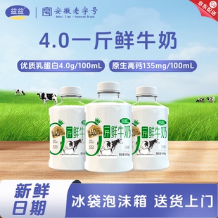 益益4.0一斤鲜牛奶500g 高钙巴氏杀菌生牛乳低温奶新日期 6瓶装