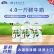 益益4.0一斤鲜牛奶500g 6瓶装 高钙巴氏杀菌生牛乳低温奶新日期