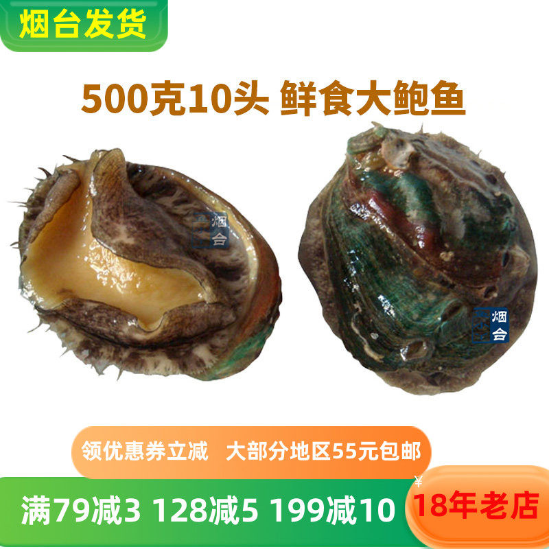 即食鲍鱼速冻470克包邮