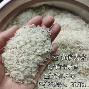 2025年大米农家大米不抛光不打蜡农家自种带有胚芽稻田籼米
