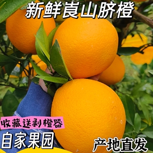 新宁崀山脐橙10斤装现摘新鲜水果孕妇水果不催熟不打蜡九分甜