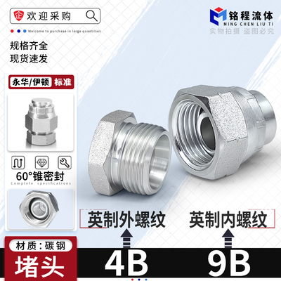 60度锥英制螺纹碳钢堵头