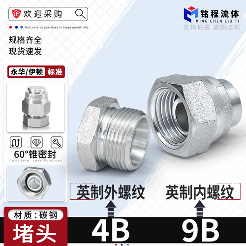 60度锥英制螺纹碳钢堵头