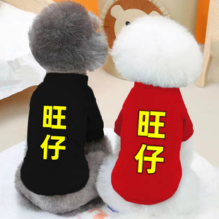 狗狗猫咪衣服秋冬装泰迪宠物小型犬柯基博美比熊红色小狗幼犬秋季