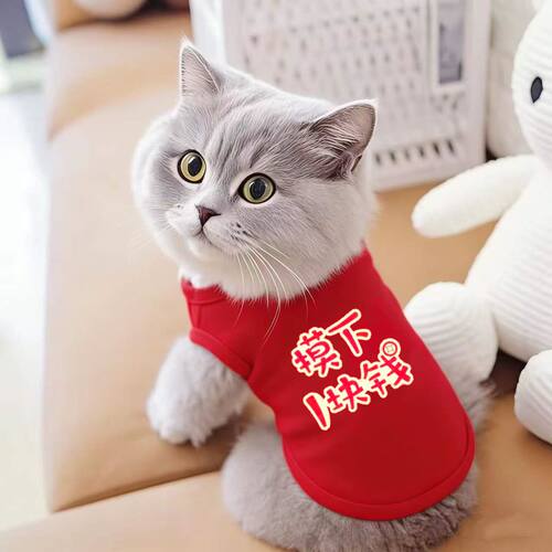 猫咪衣服防掉毛夏季薄款英美短蓝猫布偶猫小型犬泰迪狗狗夏天背心