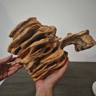 松明木北沉香天然原木风化木摆件琥珀木文玩手把件陈化料高油性