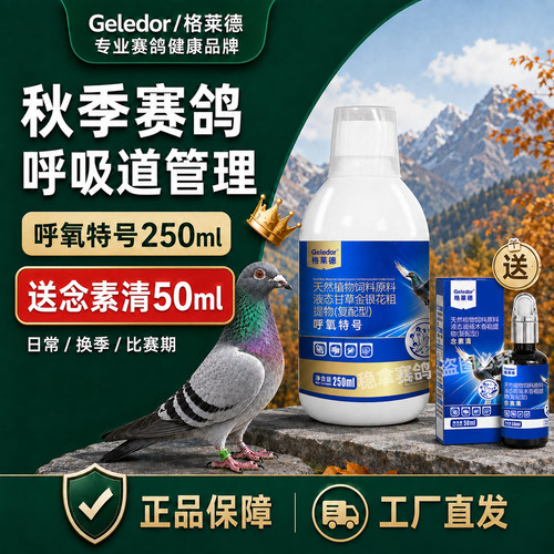格莱德赛鸽秋季赛鸽呼氧特号250ml送念素青