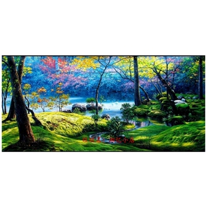 新款印花正品DMC十字绣套件客厅书房简约现代清晰风景画 宁静园