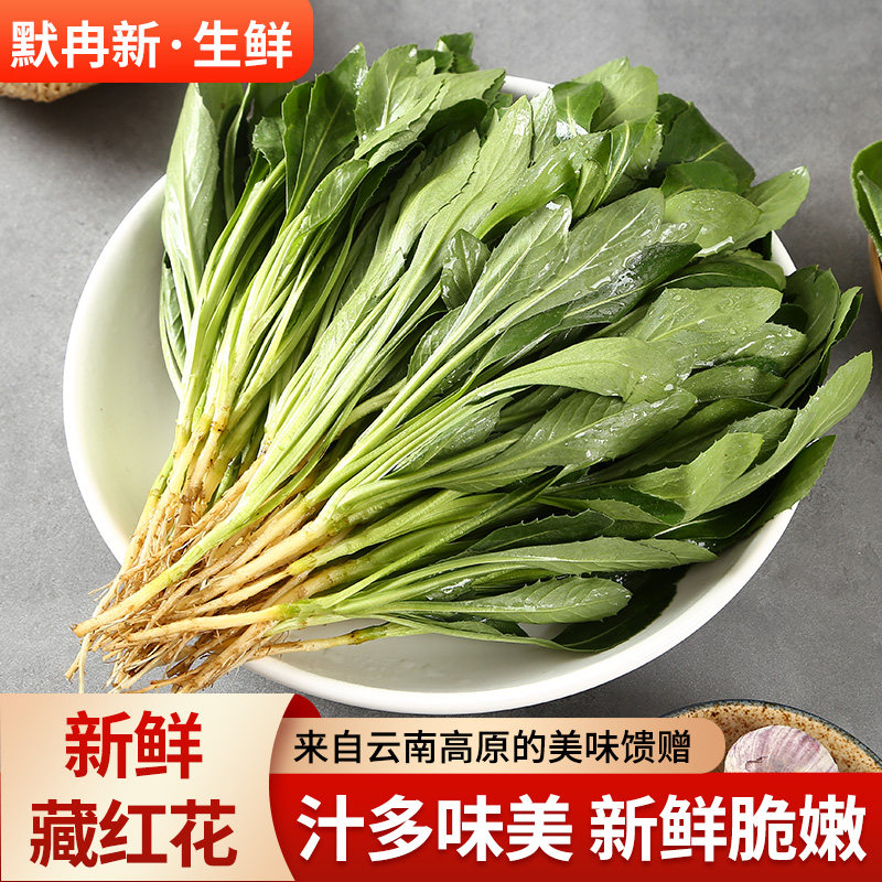 【现货】现摘新鲜蔬菜藏红花1斤装 云南当季蔬菜藏红花菜野菜包邮