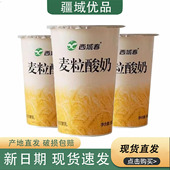 新疆西域春麦粒酸奶180g 12杯嚼着喝代餐燕麦谷物酸奶营养早餐奶