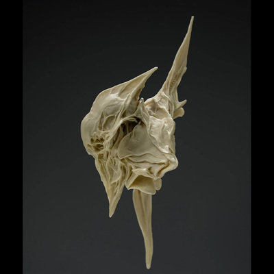 米山启介原型CREATURE HEAD#01灰黄双色模