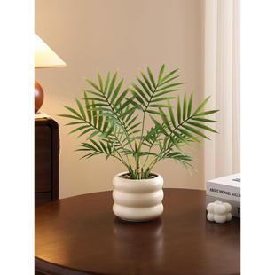 真绿植小型盆栽发财树高级感室内办公桌面客厅茶几假花花艺摆设