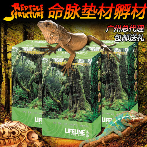 偏远地区不包邮