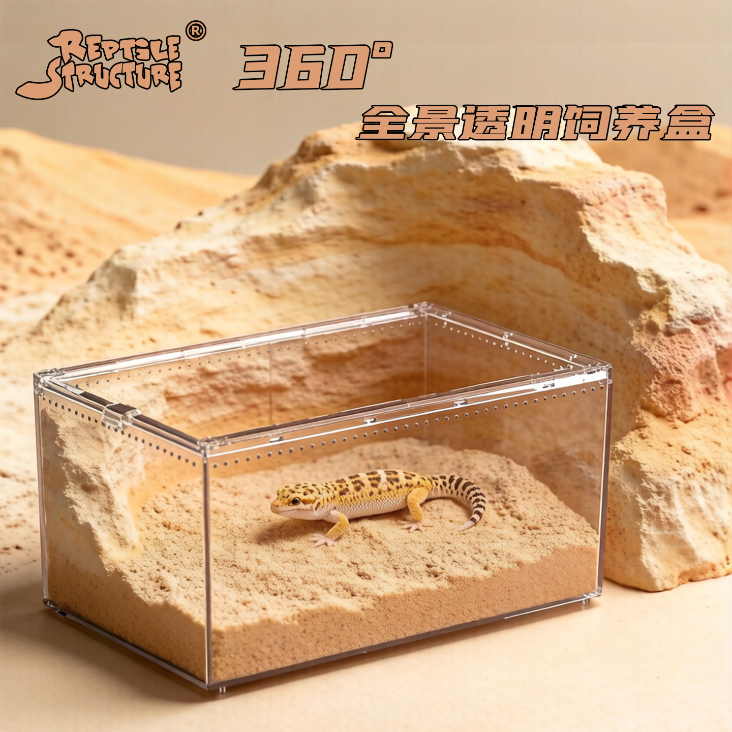 爬宠亚克力生态饲养缸图片