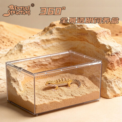 爬宠亚克力生态饲养缸
