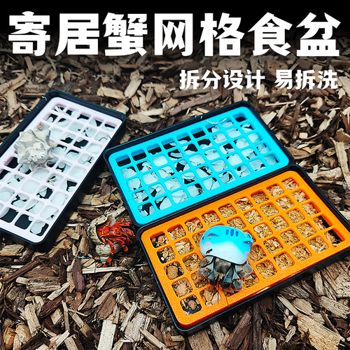 爬结构寄居蟹专用网格食盆