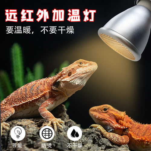 适合各类爬宠补钙/可替换灯珠