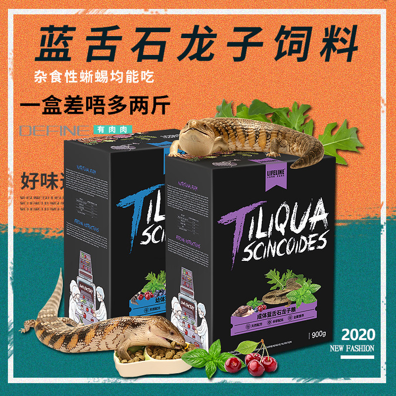 命脉蓝舌饲料石粮龙子蜥蜴