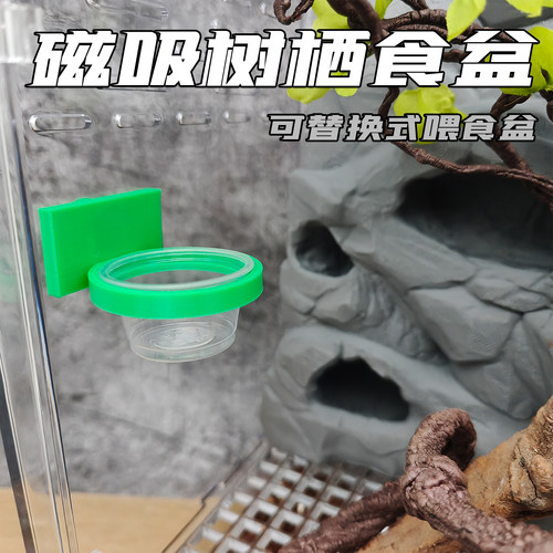 爬宠磁吸壁挂亚克力喂食水碗