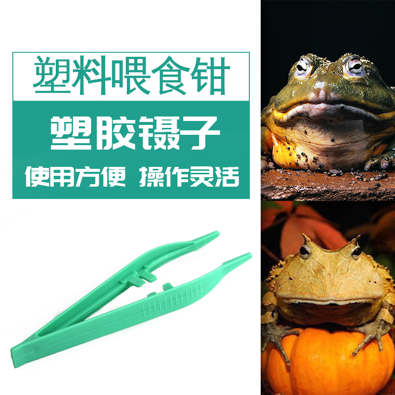 爬虫蜥蜴昆虫角蛙树蛙蝎子蜘蛛蜈蚣甲虫夹镊子活体塑料喂食钳