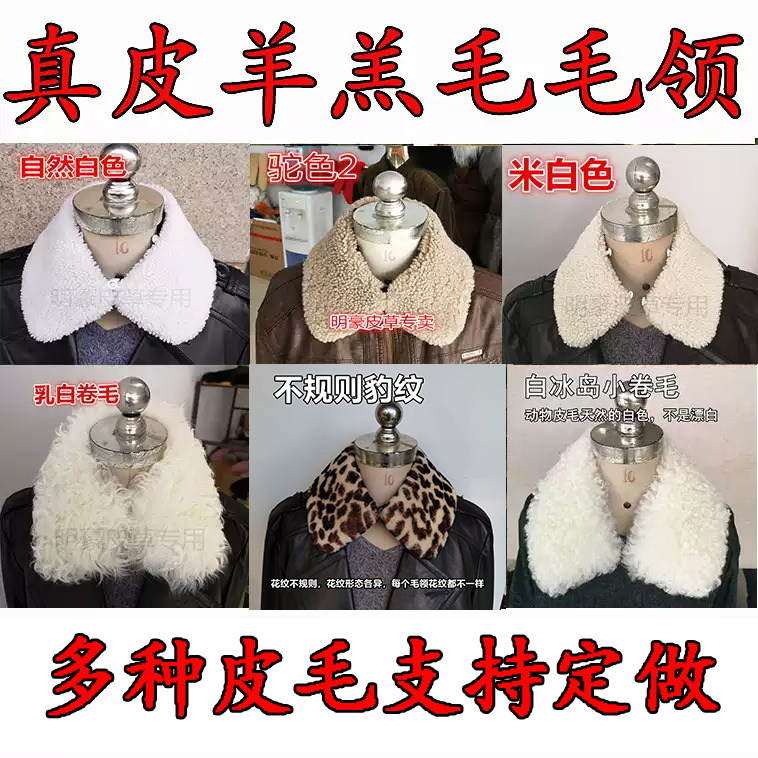 真皮羊羔毛滩羊卷毛毛领可以定做