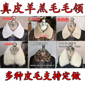 羊羔颗粒毛领子定做卡拉库新款 粉米白驼黑黄色真皮滩羊卷毛毛领