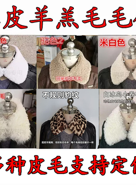 羊羔颗粒毛领子定做卡拉库新款粉米白驼黑黄色真皮滩羊卷毛毛领