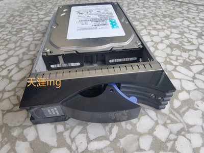 IBM D5020 59Y5336 59Y5640 59Y5322 600G 15K FC 光纤硬盘