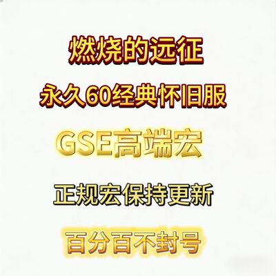 燃烧的远征永久60GSE一键输出宏