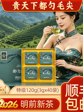 贵天下都匀毛尖特级120克礼盒装绿茶2026明前春茶新茶贵州特产