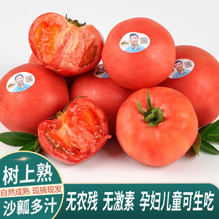 老王家老味道番茄西红柿新鲜蔬菜礼盒农家自然熟生吃4斤水果番茄