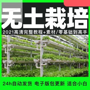 无土栽培视频教程自学蔬菜种植水培营养温室养殖方法技术电子资料