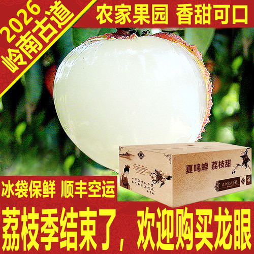 岭南高山晚熟荔枝新鲜老树大王箱礼盒顺丰空运深圳南山岭南古道