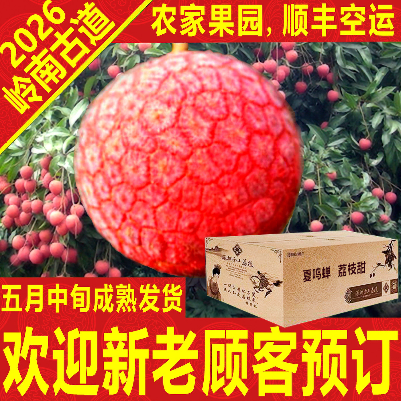 岭南古道荔枝新鲜老树水果白糖罂顺丰空运礼盒箱广东特产深圳南山