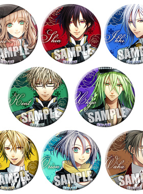 失忆症徽章 AMNESIA 精灵情缘动漫乙女游戏右京斗真胸章铁底吧唧A