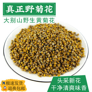 天然野生野菊花茶 安徽产地散装野菊花 泡水用清香野菊干花