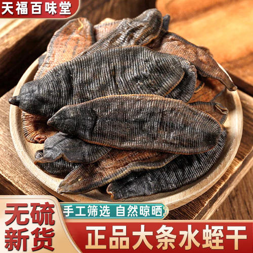 水蛭中药材正品大条金边水蛭干蚂蟥水蛭粉非吊干吸血另售蜈蚣蝎子