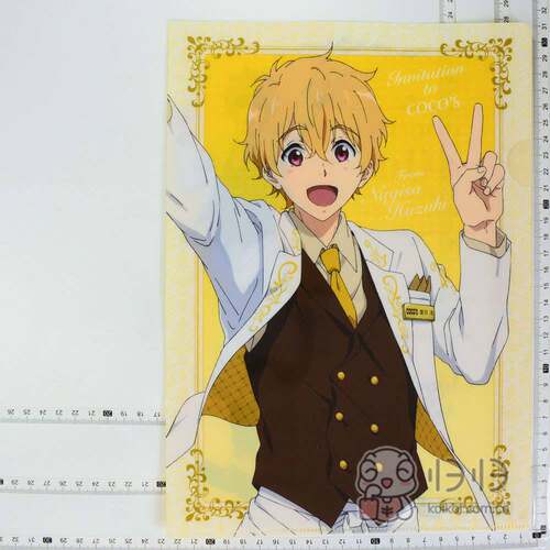 日本正版现货]男子游泳部  Free!×COCO'S 特典A4文件夹 叶月渚