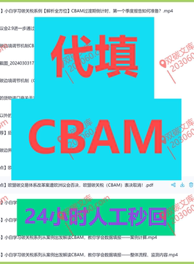 CBAM代填填写填报报告
