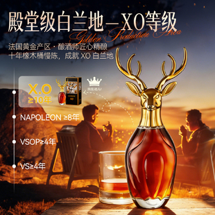 法国进口XO白兰地十年陈酿歌瑞安金鹿伏特加威士忌洋酒高档礼盒装