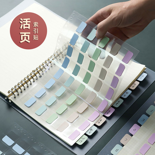 莫兰迪活页本索引贴分类目录贴纸