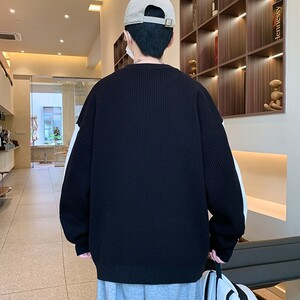 84721-P55秋冬休闲圆领毛衣男针织打底衫图片