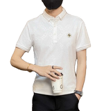 PL053-P45夏季短袖t恤男百搭休闲Polo衫修身潮流翻领男装半截袖，男装Polo衫，电商D310B
