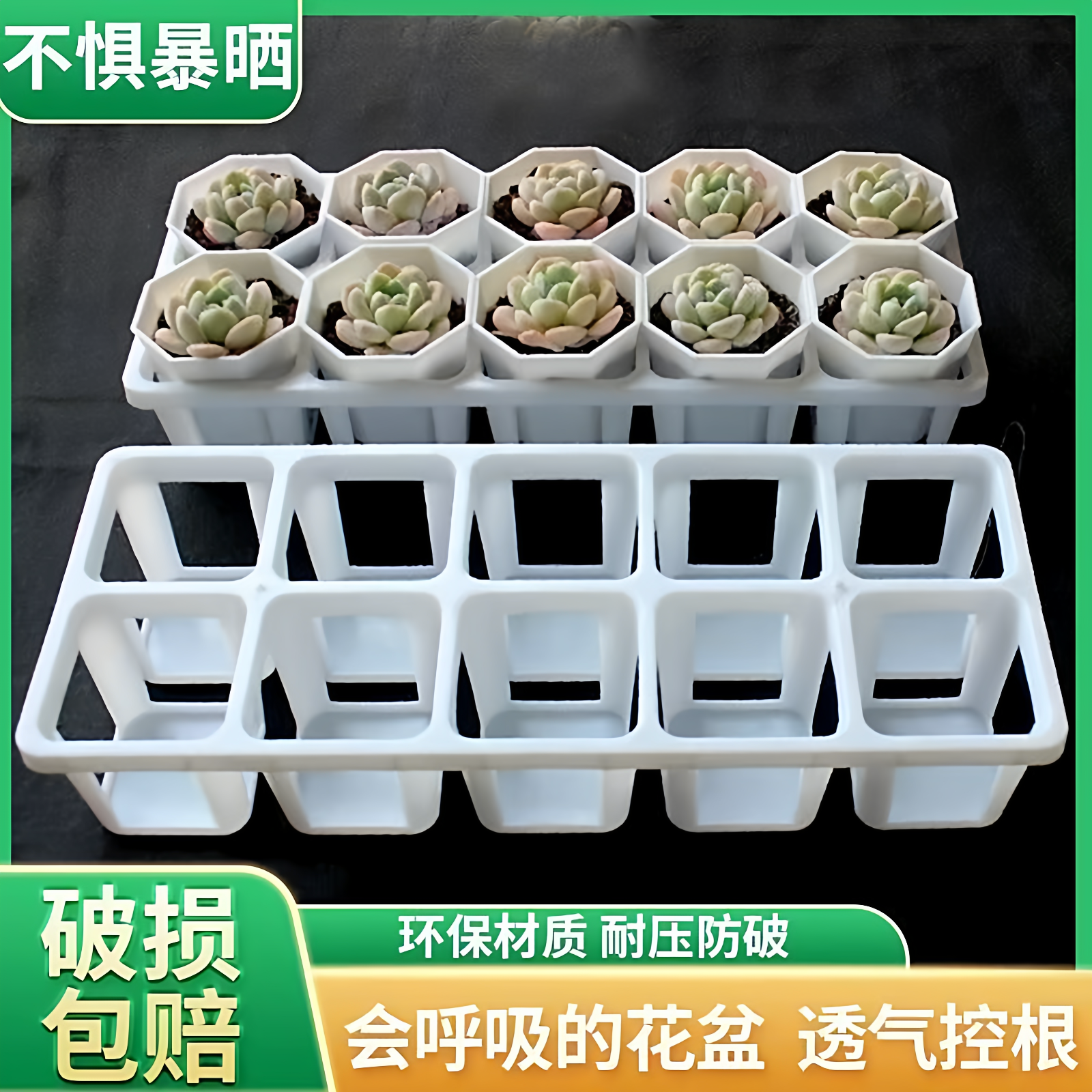新款多肉组合托盘白色10孔托架7方花盆加高阳台花盆八角拼盘一体,鲜花速递/花卉仿真/绿植园艺,花盆,淘宝优惠券,粉丝福利购,淘宝优惠卷